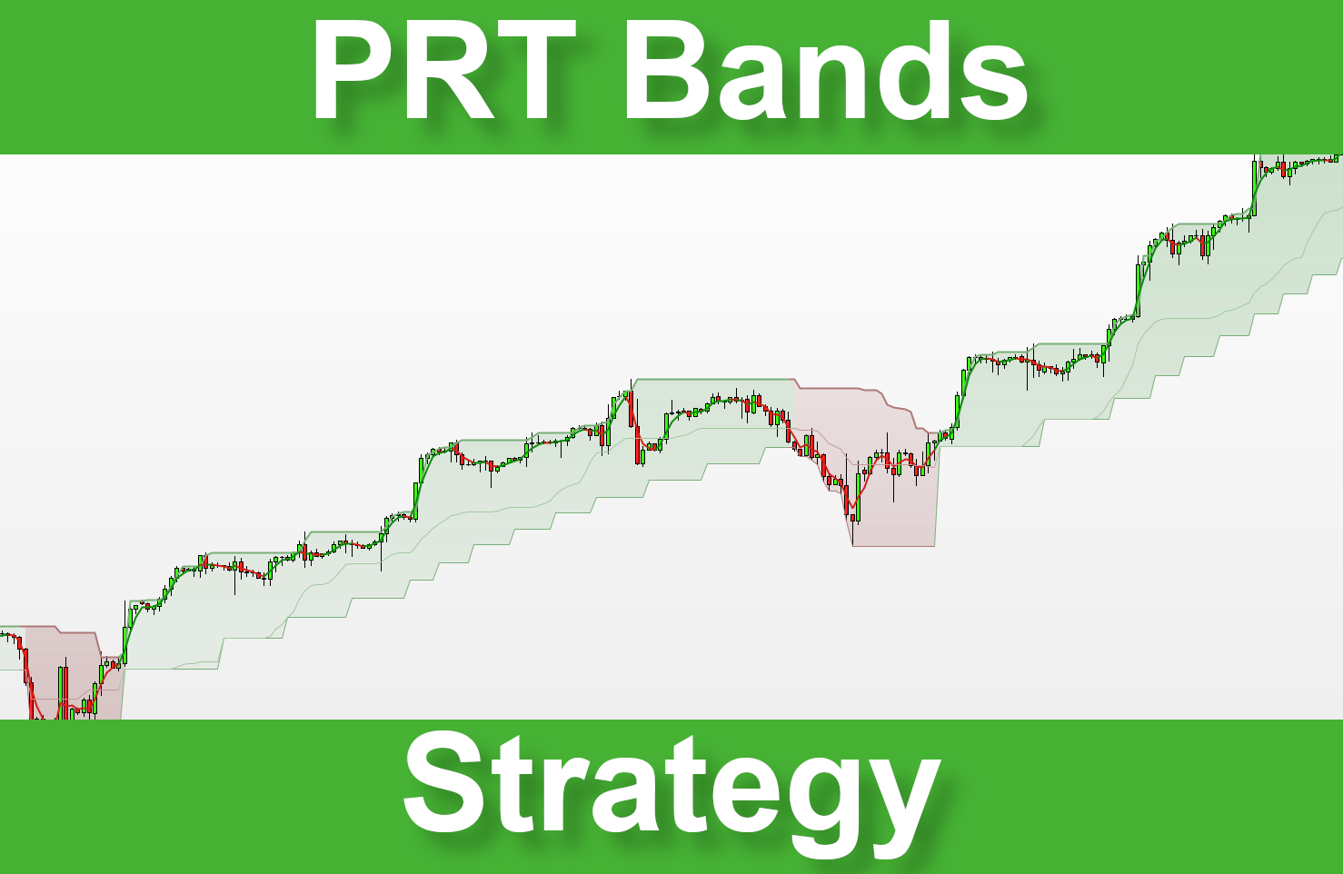 Read more about the article Follow the trend with PRT Bands