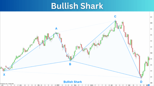 Bullish Shark Pattern