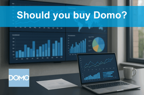 Should you buy Domo?
