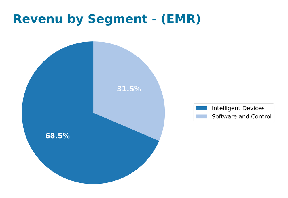 revenue by segment