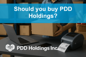 PDD Holdings: Navigating E-Commerce Risks and Opportunities in 2025