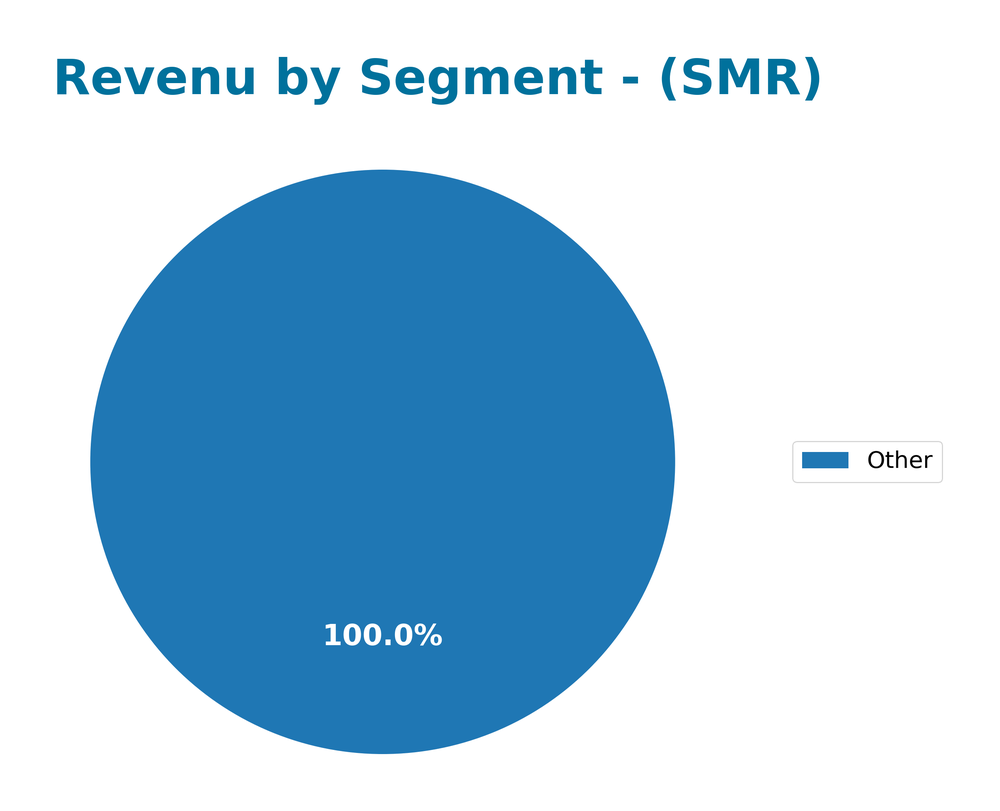 revenue by segment