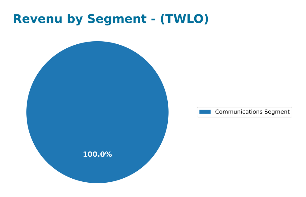 revenue by segment