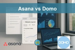 Asana vs Domo: Evaluating Growth Potential and Risks for Investors