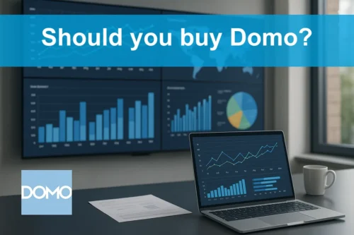 Should you buy Domo?