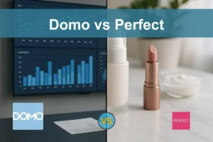 Domo vs Perfect Corp: Evaluating Growth Potential and Risks