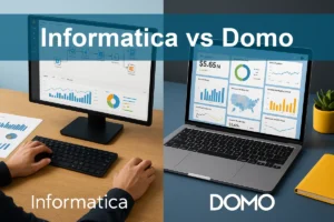 Informatica vs Domo: Evaluating Growth and Risk Factors