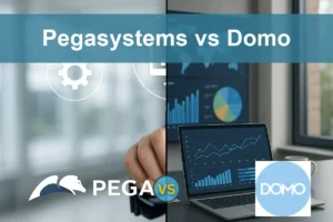 Pegasystems vs Domo: Evaluating Growth and Risks for Investors