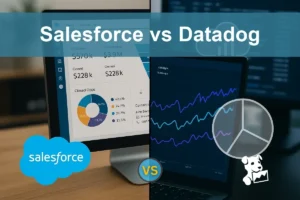 Salesforce vs Datadog: Assessing Growth and Risk Profiles