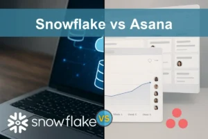 Snowflake vs Asana: Evaluating Growth and Risks for Investors