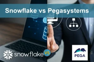 Snowflake vs Pegasystems: Examining Growth and Stability
