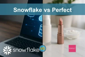 Snowflake vs Perfect Corp: Evaluating Growth and Risks for Investors