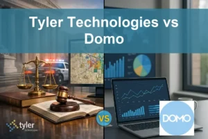 Tyler vs Domo: Assessing Growth and Risk Profiles