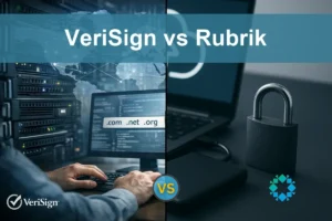 VeriSign vs Rubrik: Assessing Growth and Stability Factors