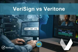VeriSign vs Veritone: Evaluating Growth and Stability