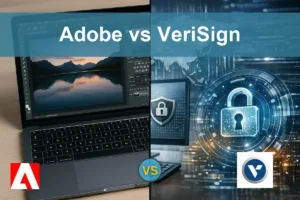 Adobe vs VeriSign: Which Software Stock Shows Greater Potential?