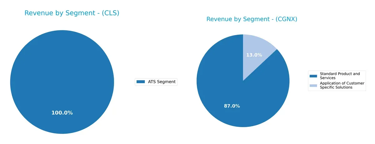 revenue by segment comparison