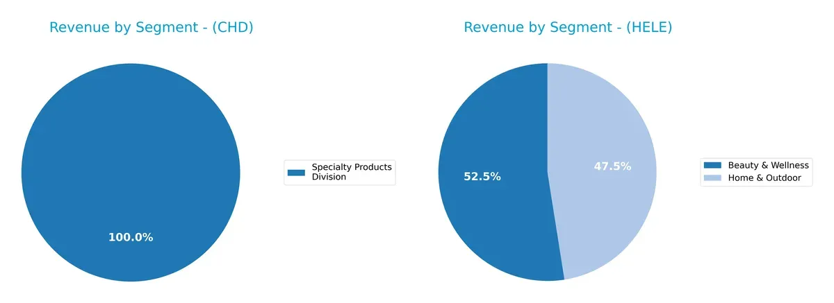 revenue by segment comparison