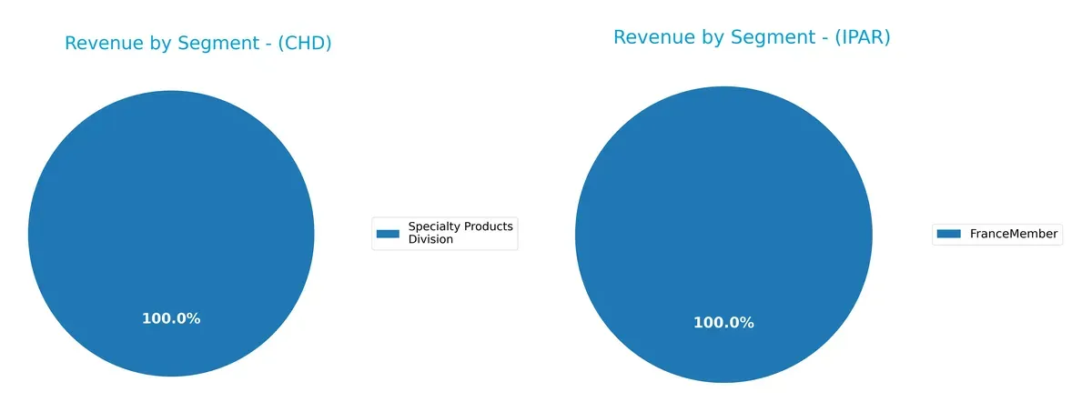 revenue by segment comparison