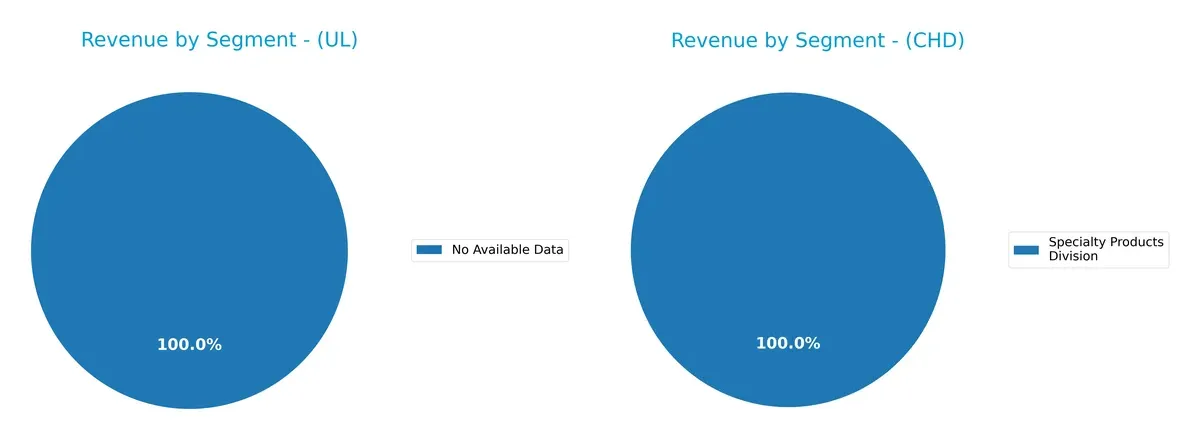 revenue by segment comparison