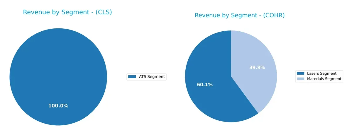 revenue by segment comparison