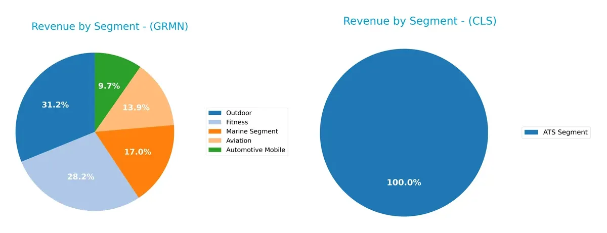 revenue by segment comparison
