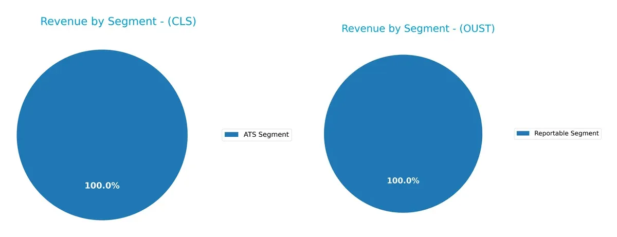 revenue by segment comparison
