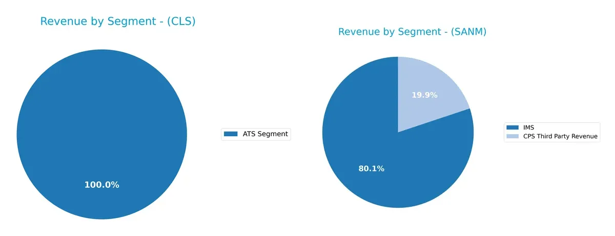 revenue by segment comparison