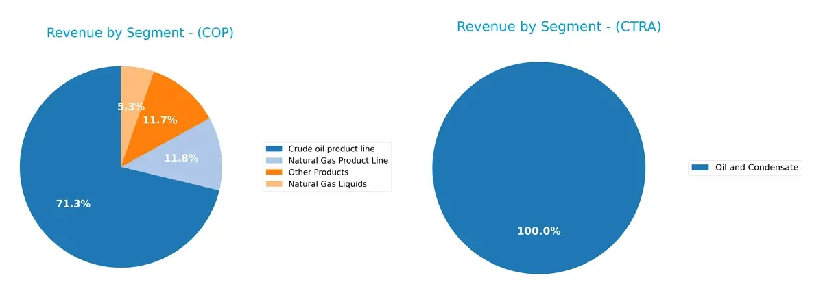 revenue by segment comparison