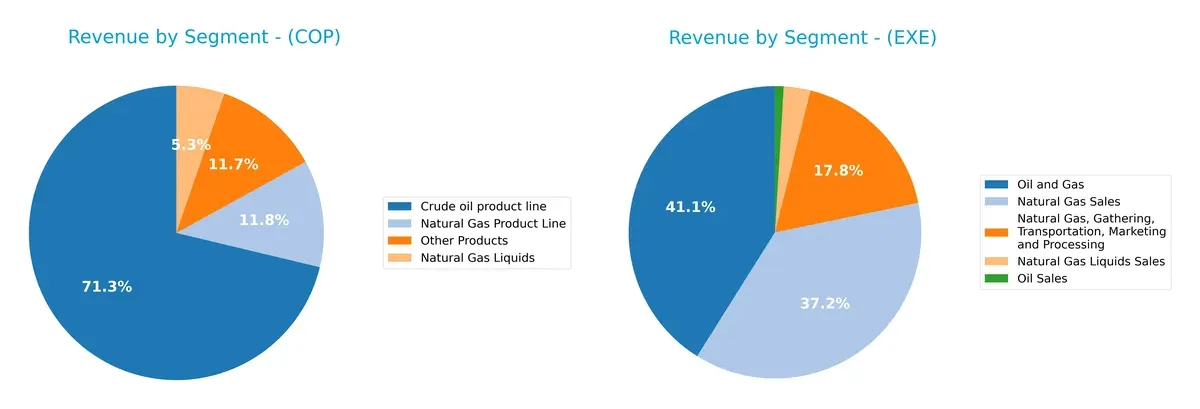 revenue by segment comparison