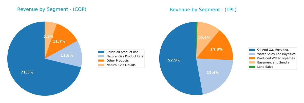 revenue by segment comparison