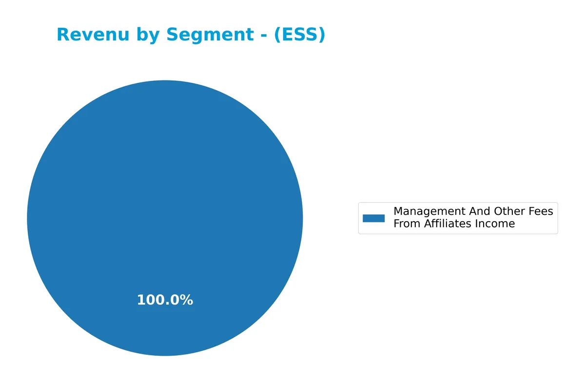 revenue by segment