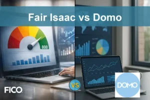 FICO vs Domo: Evaluating Growth and Risk Profiles for Investors
