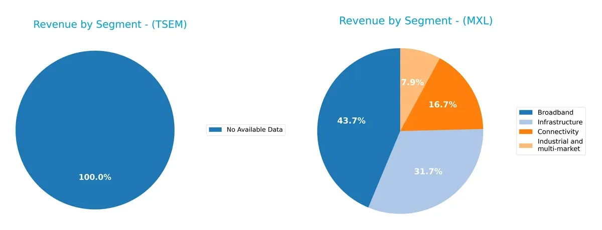 revenue by segment comparison