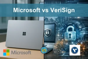 Microsoft vs VeriSign: Evaluating Growth and Stability for Investors