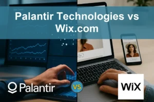 Palantir vs Wix: Which Software Stock Offers More Growth?