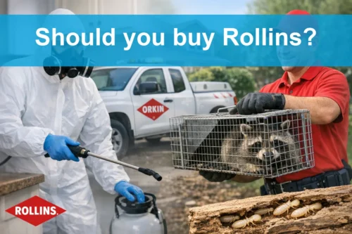 Should you buy Rollins?