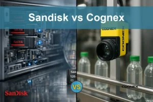 Sandisk vs Cognex: Which Stock Shows Stronger Growth?
