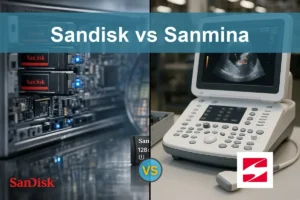 Sandisk vs Sanmina: Which Stock Shows Stronger Potential?
