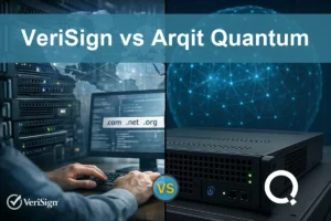 VeriSign vs Arqit Quantum: Which Shows Stronger Growth Potential?