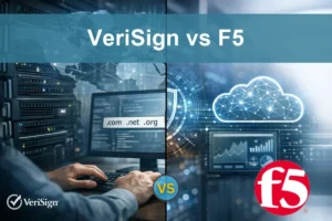 VeriSign vs F5: Which Software Infrastructure Stock Leads?