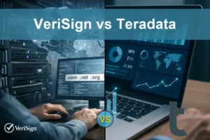 VeriSign vs Teradata: Which Software Stock Shows Stronger Potential?