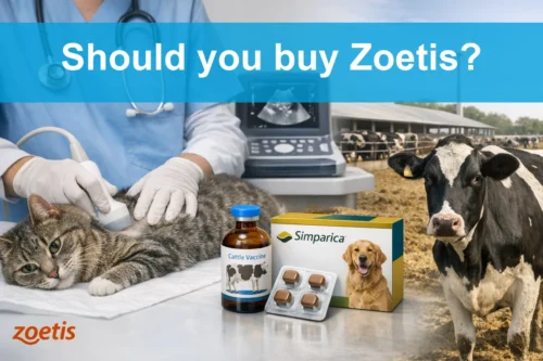 Should you buy Zoetis?
