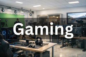 Electronic Gaming Multimedia